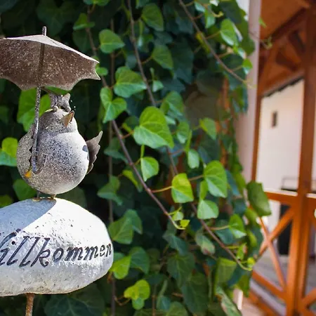 In - Balaton 18964 Hévíz